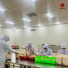 Bột Tổ Yến Ngũ Cốc