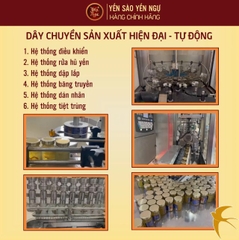Yến Chưng Hạt Chia