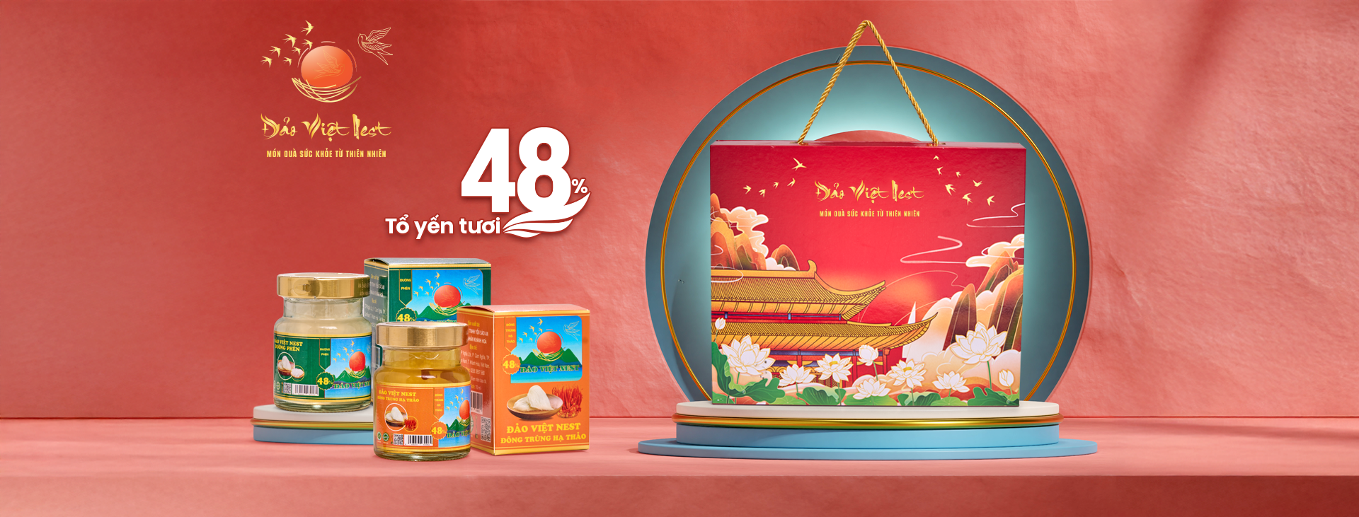 Yến sào Đảo Việt 1